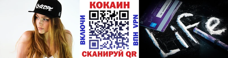 дарнет шоп  Рыбинск  Cocaine FishScale 