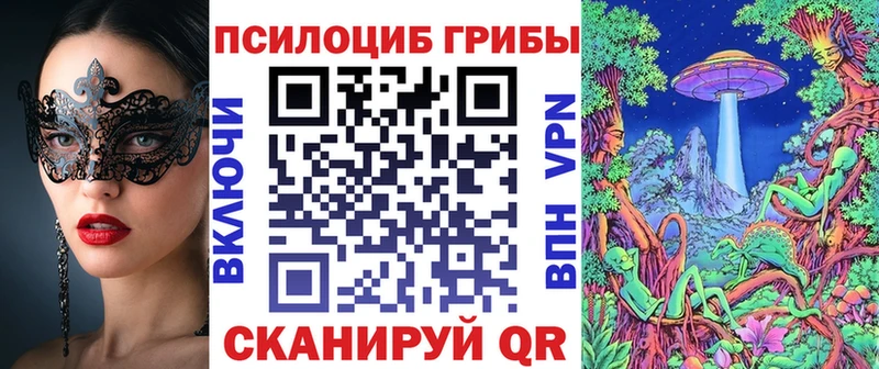 Псилоцибиновые грибы Cubensis  Рыбинск 